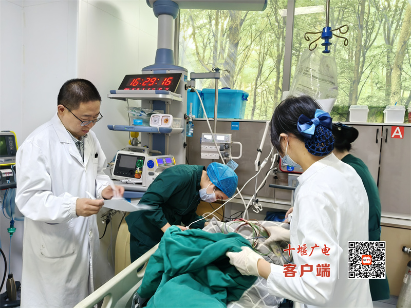 微信圖片_20241013173038