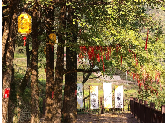 大美竹溪丨紅葉疊金，秋瀑含情！竹溪營盤山藏著最舒服的秋