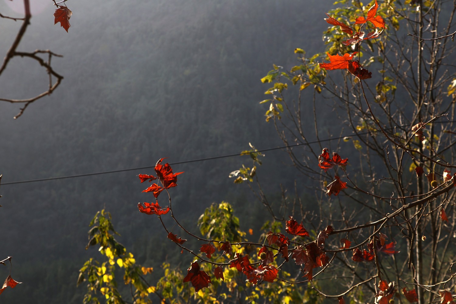 1701161247420625.jpg IMG_6319.jpg