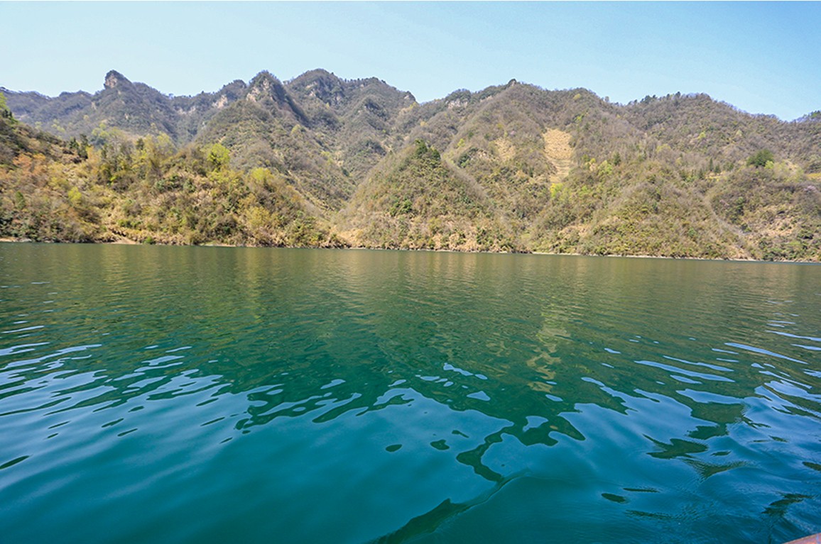 1701832987650008.jpg t_0406.jpg