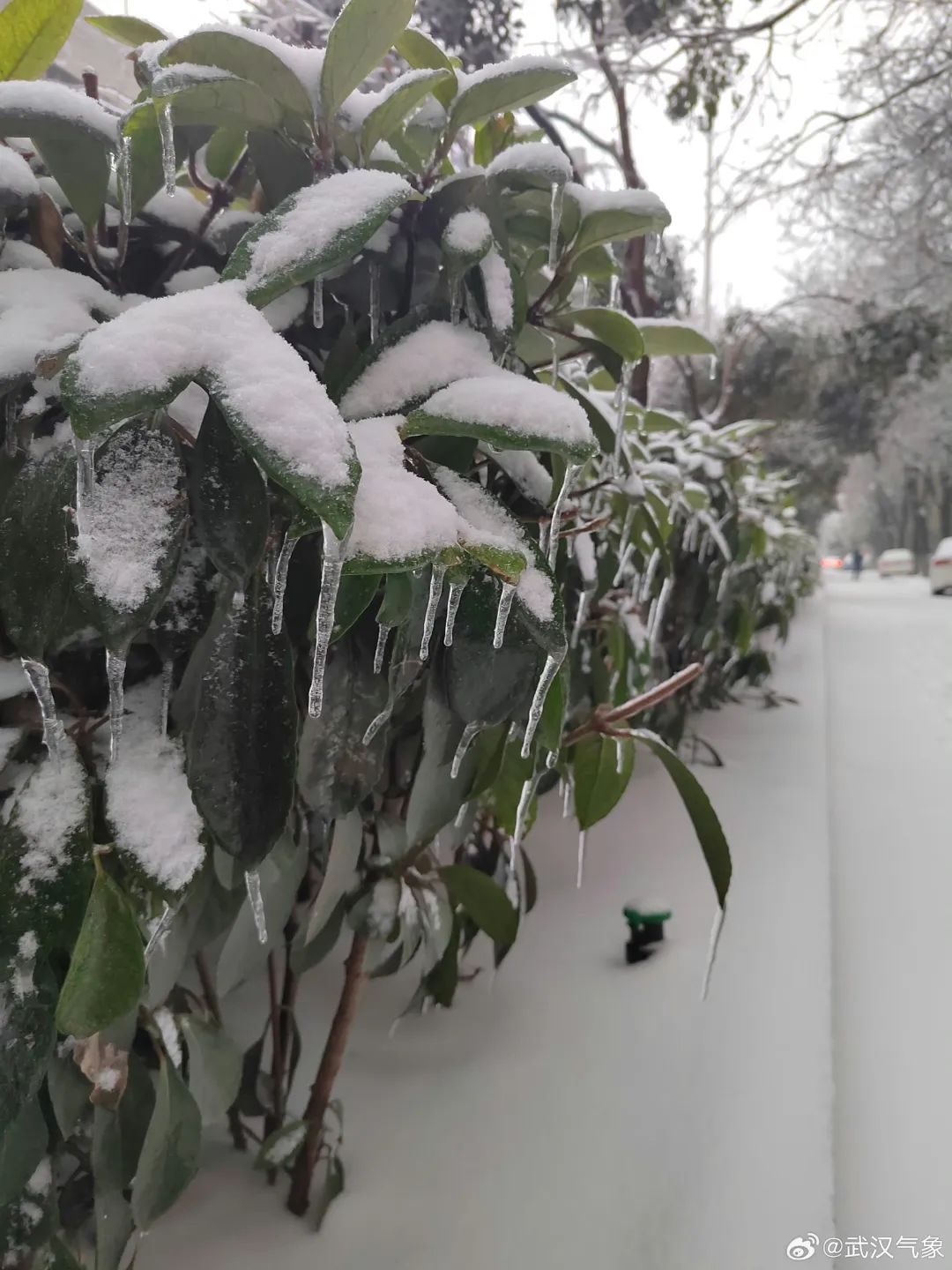 1707038636480008.jpg 640.jpg