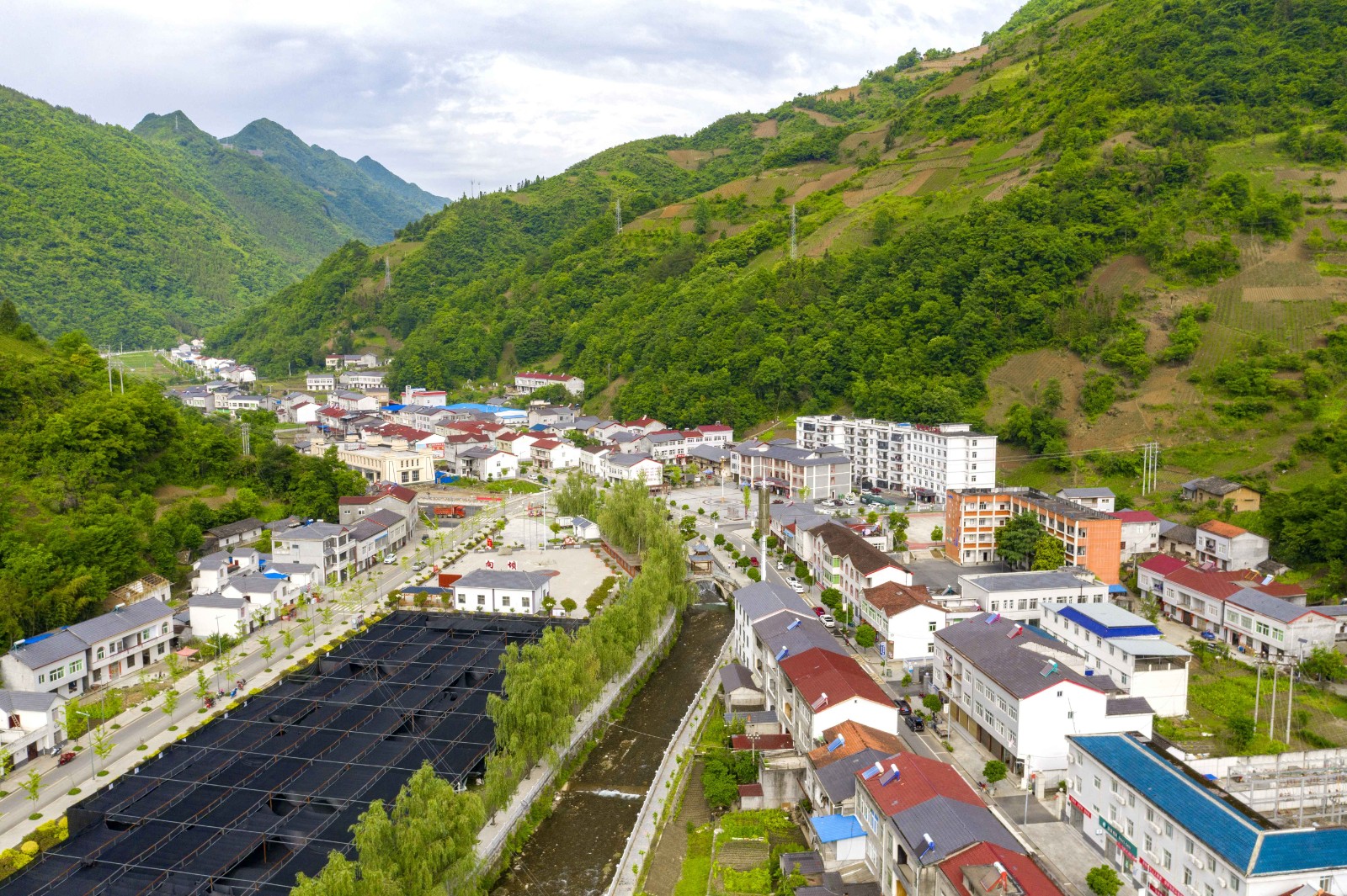 1711699366356157.jpg 2.jpg