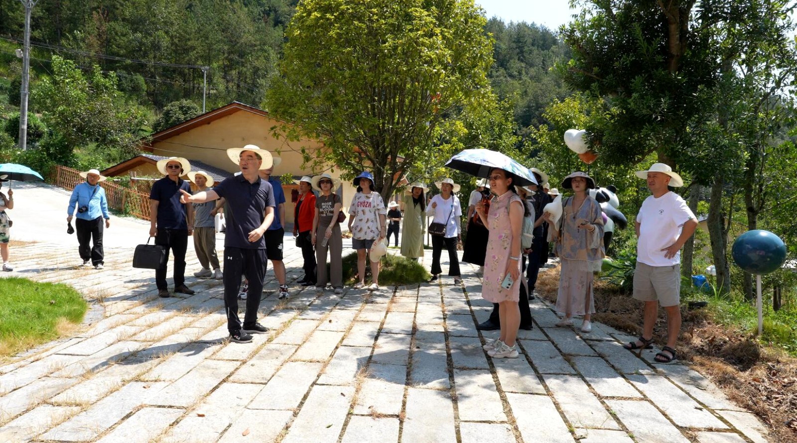 1725271634384072.jpg 11.jpg