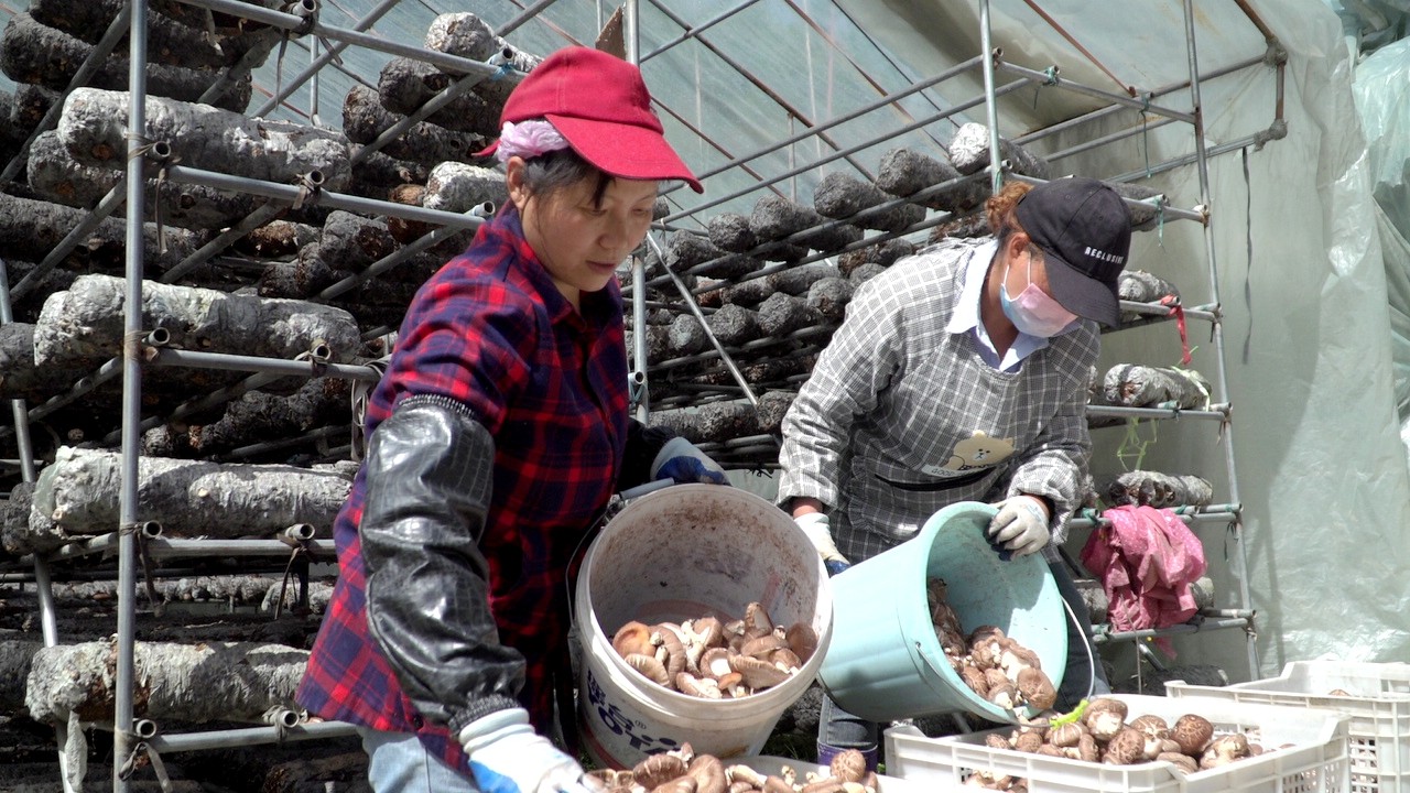 1728439572340232.jpg 11.jpg