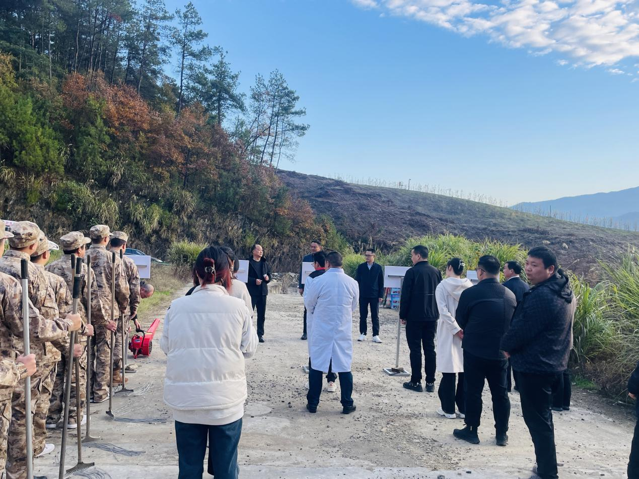 1732450374936842.png 圖片2.png