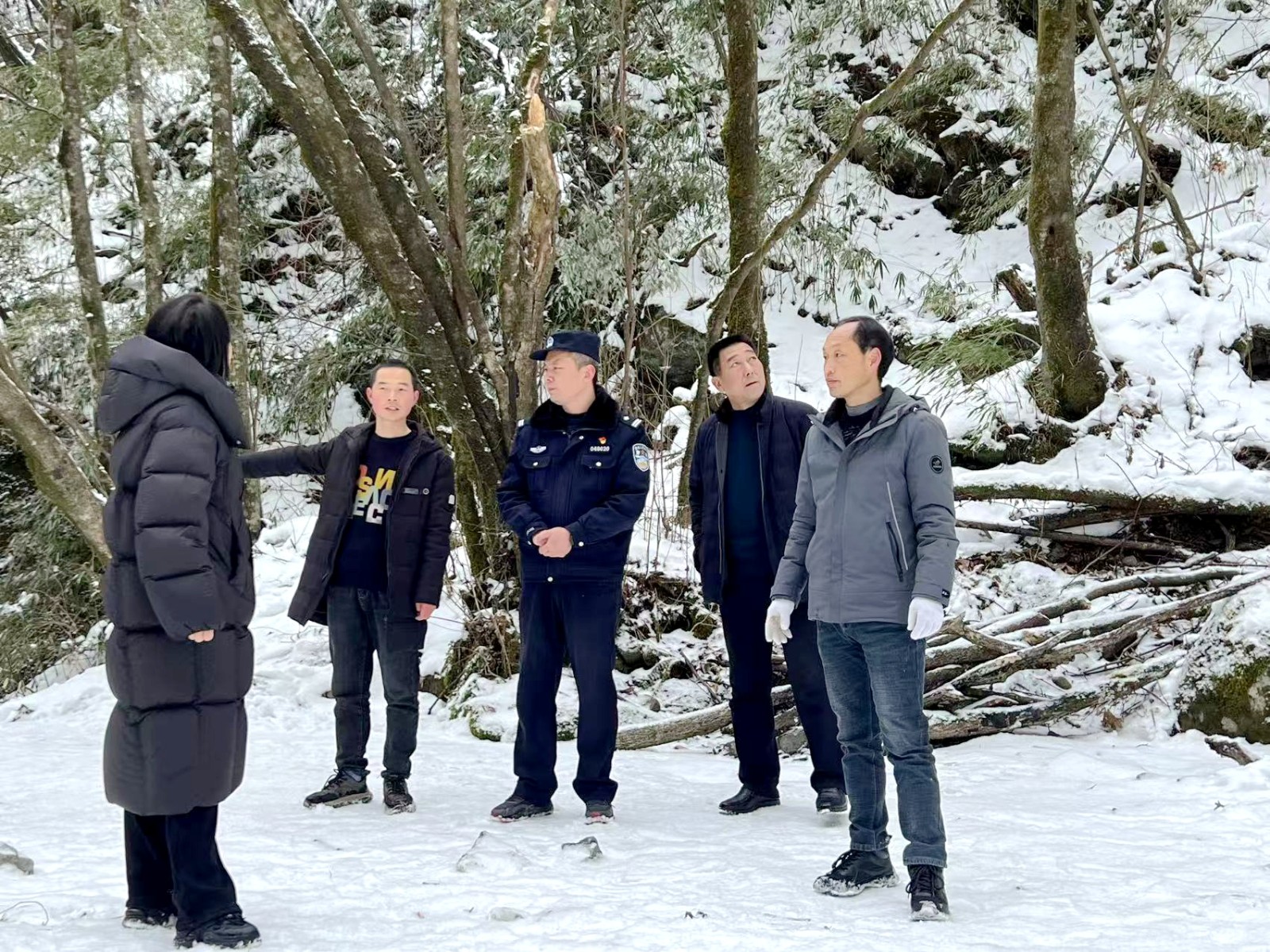 1736298657931257.jpg 11.jpg