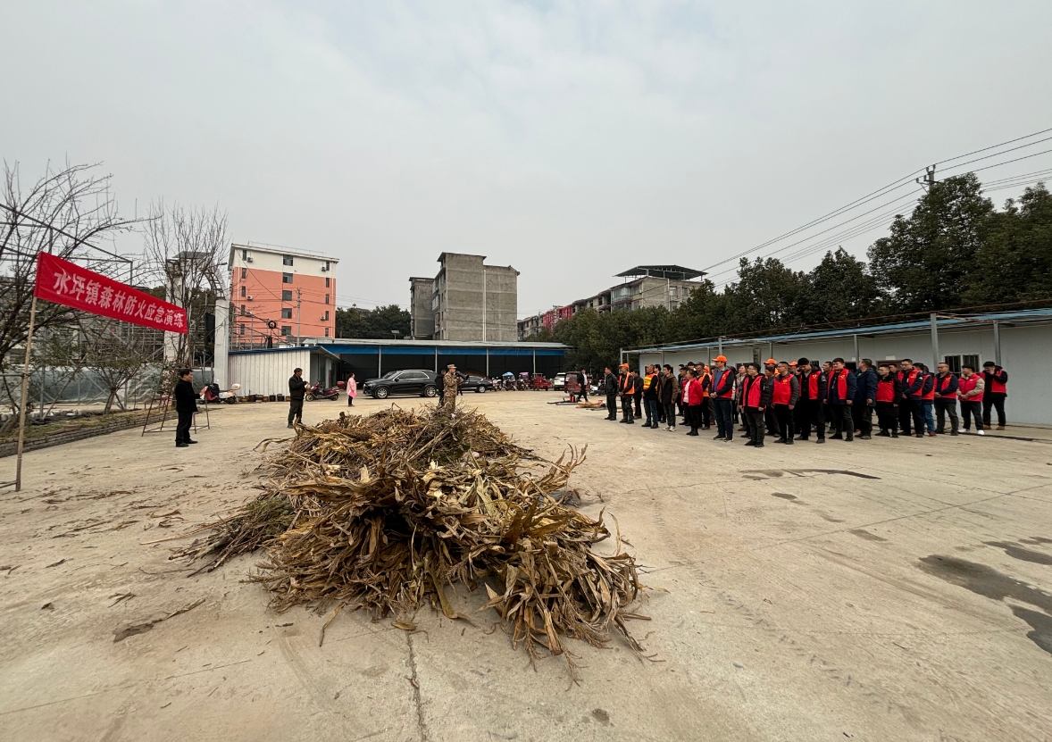 1737535947644401.png 1.png