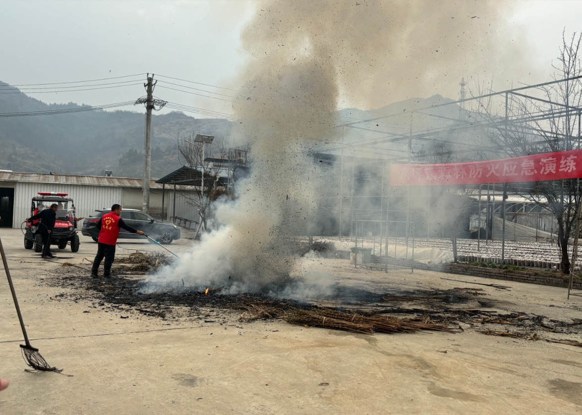 1737535985692237.png 3.png