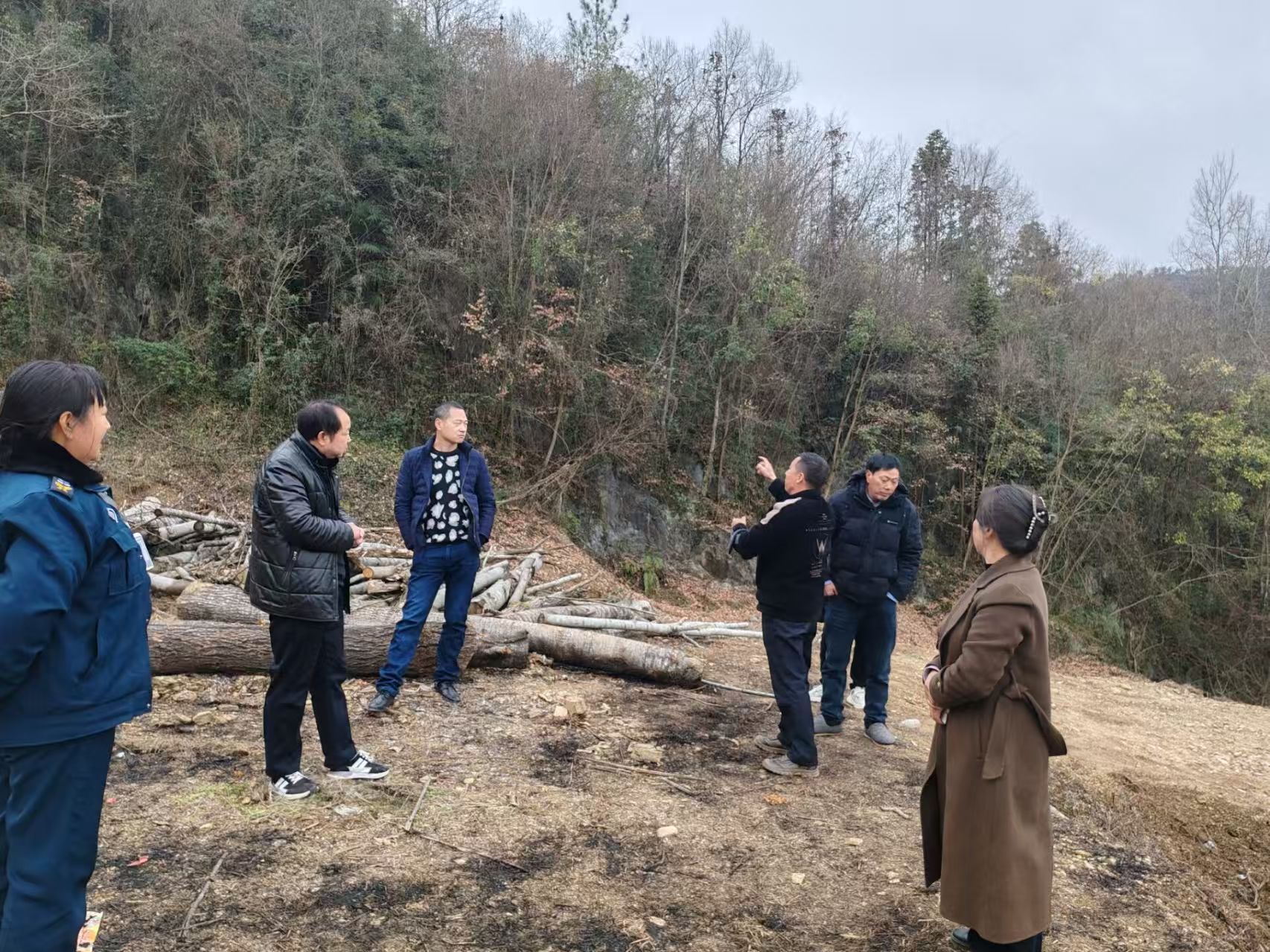 1739332820697248.jpg 33.jpg