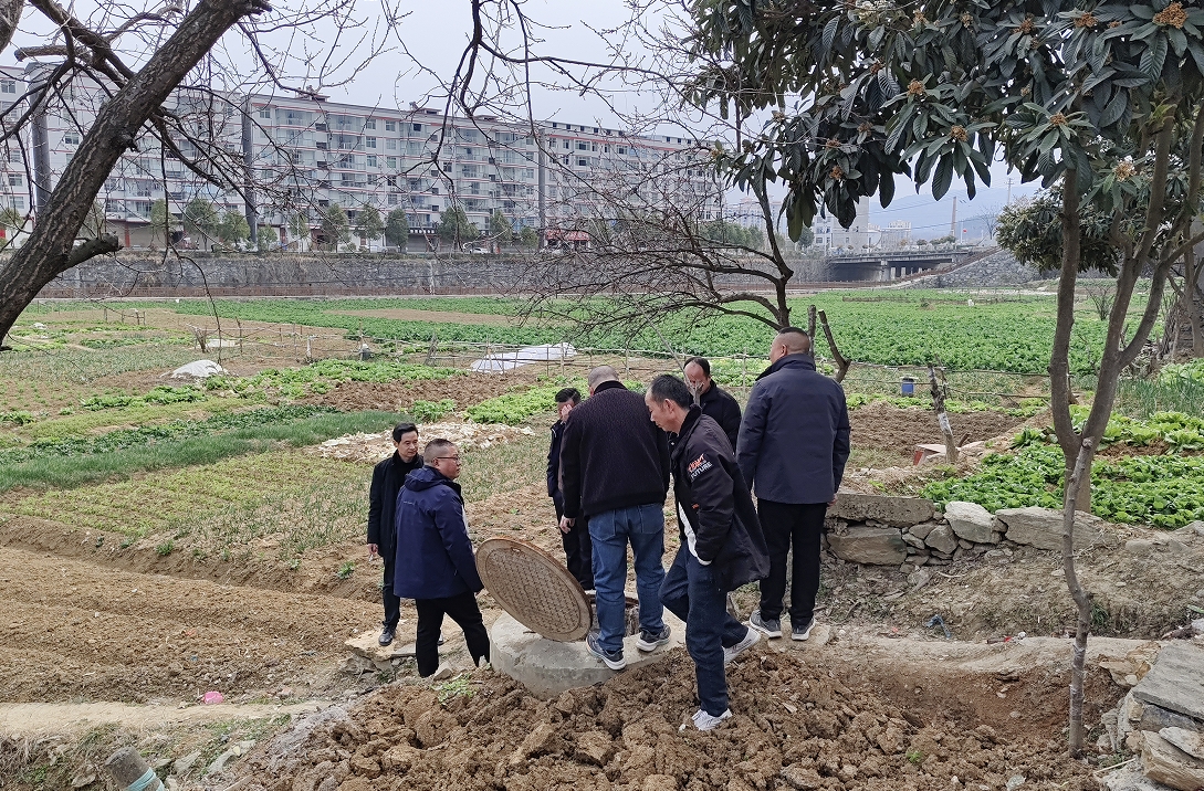 1739782221267123.png 11.png