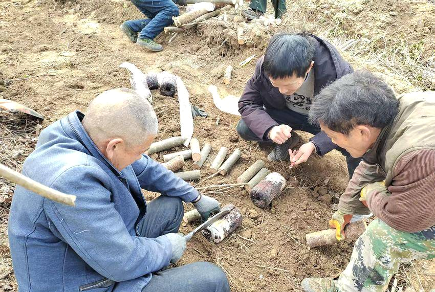 1739927143163948.png 48209d38d0b05675702a072d652d3186.png