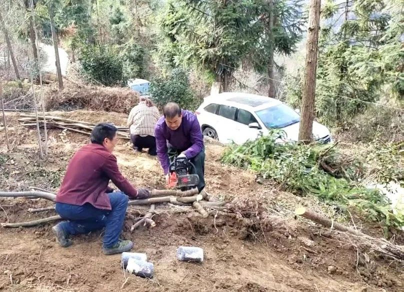 1739927220223483.jpg af39927b2ee418286fec8cfdc1f0bfed.jpg