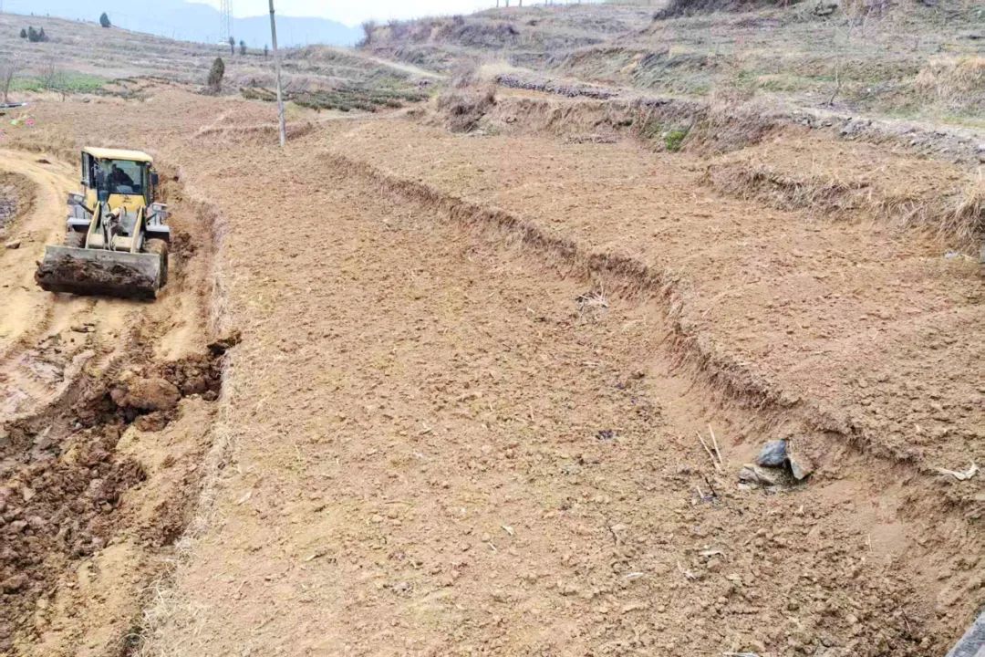 1740367869198346.jpg 9fcabd5ff5eaa8acf603e72220d712e8.jpg