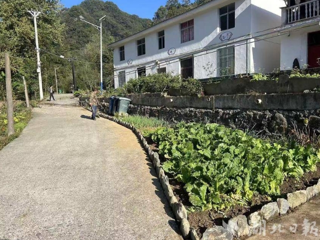 1740554952566363.png 微信截圖_20250226150852.png