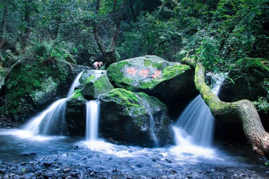 1741071658401894.jpg c84aa88f844a15d9a262084309b5ceb4.jpg