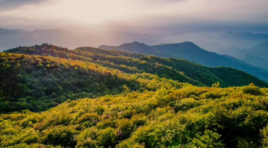 1741071721428232.png b72671a0bad70104543913814101c6e2.png