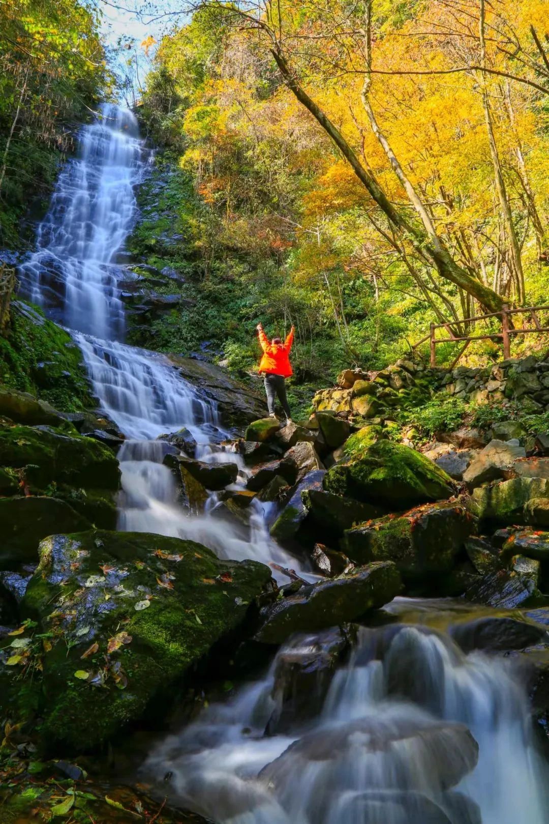 1741071729940770.jpg 900de9ab0808e3bab5f583a7cc5e71fe.jpg