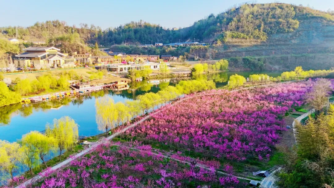 1749283517104073.jpg 1.jpg