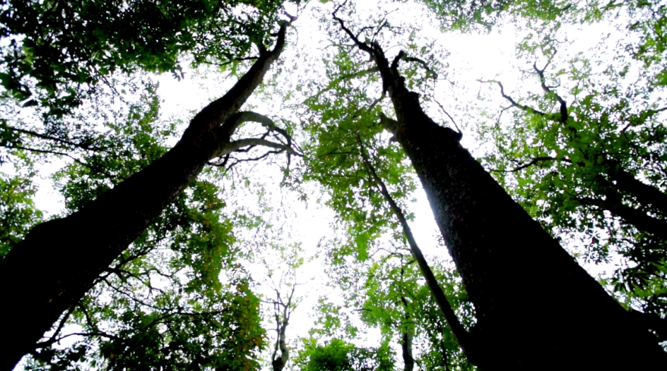 1750213043163639.png 微信截圖_20250618101545.png