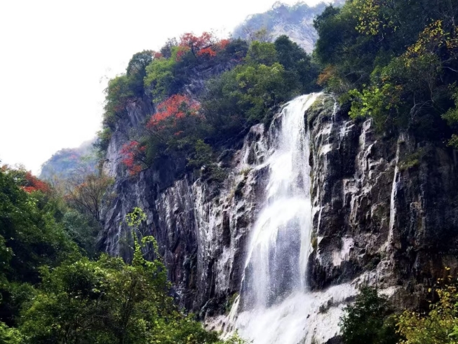 1753343047273414.png 微信截圖_20250724153153.png