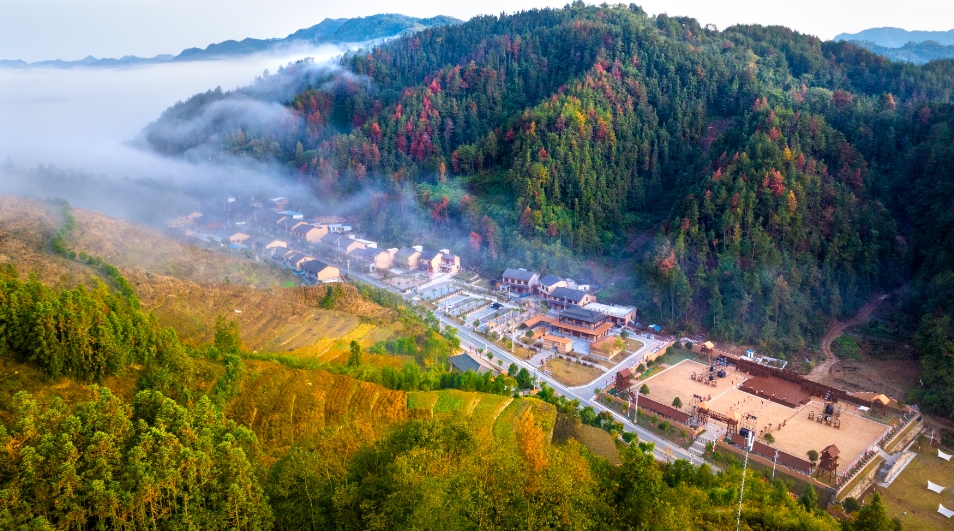 1753759912688825.png 微信截圖_20250729113040.png