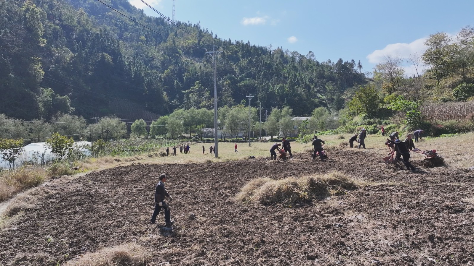 1761720607939005.jpg 微信圖片_20251029144435_1883_49.jpg