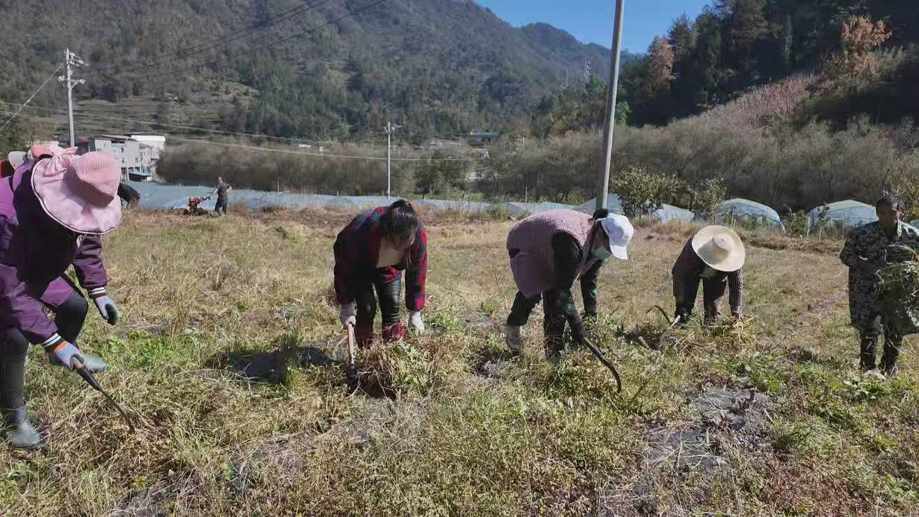 1761720618539801.jpg 微信圖片_20251029144508_1884_49.jpg