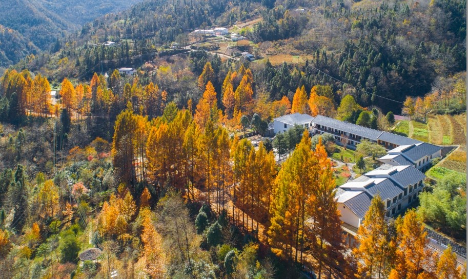 1761721011403522.jpg 微信圖片_20251029145027_1893_49.jpg