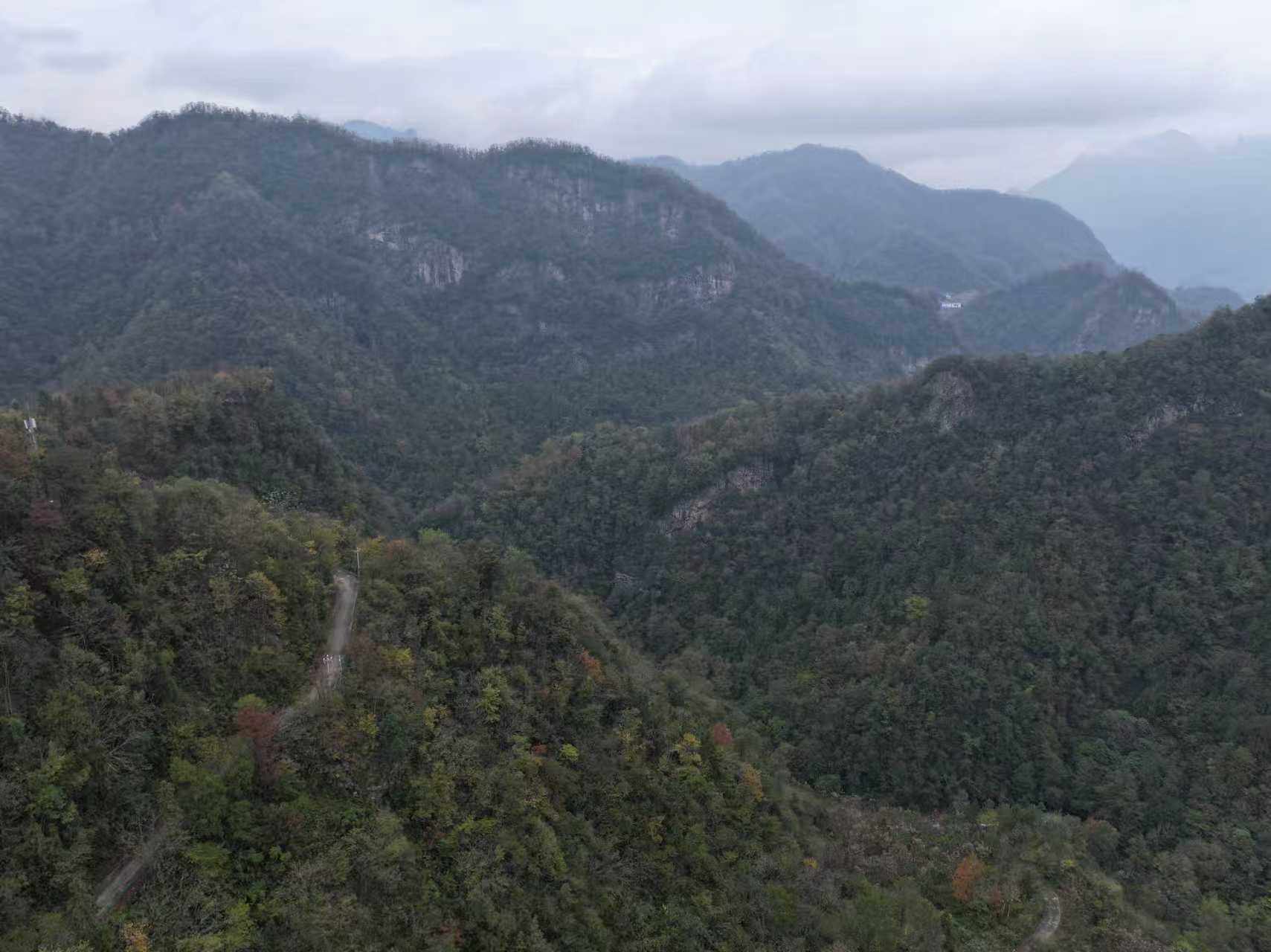 1761721035841697.jpg 微信圖片_20251029145045_1894_49.jpg